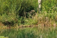 IMG_20260912_120954