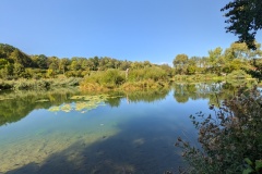 IMG_20260912_121000