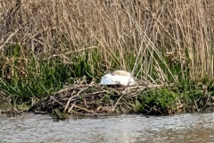 IMG_20260411_101436