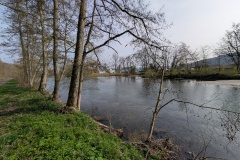 IMG_20260411_101451