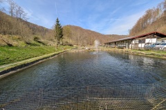 IMG_20260411_124132