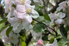 IMG_20260504_121534
