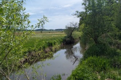 IMG_20260504_122052