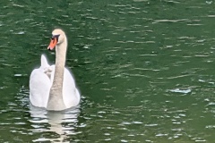 IMG_20260504_133638