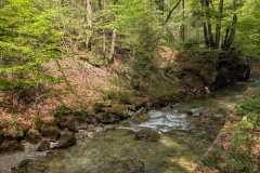 IMG_20260507_120524