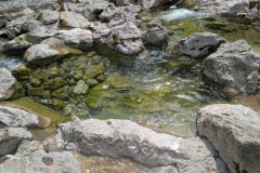 IMG_20260507_122058