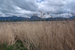 IMG_20260507_142749