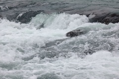 IMG_20260508_104846