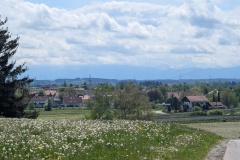 IMG_20260508_133603
