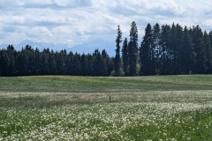 IMG_20260508_134733