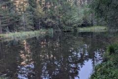 IMG_20260916_094731