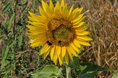 IMG_20260726_112610
