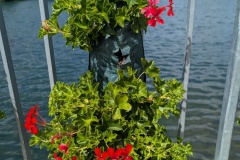 IMG_20260614_110918