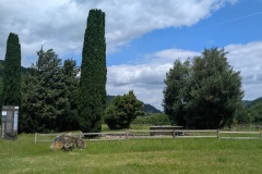 IMG_20260614_121520