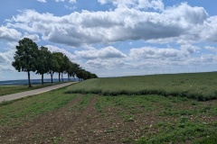 IMG_20260614_130010