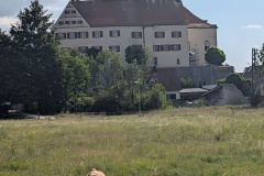 IMG_20260723_092639