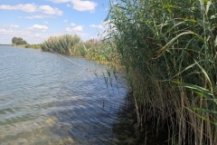 IMG_20260723_143543