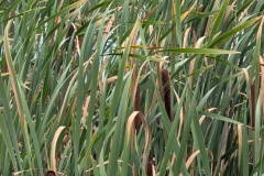 IMG_20260902_102702