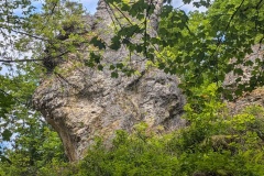 IMG_20260606_123012