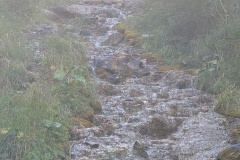 IMG_20260921_115330
