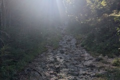 IMG_20260921_115333