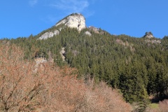 IMG_20260408_105805