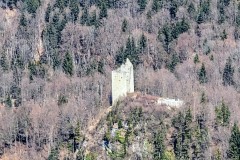 IMG_20260408_111621_1