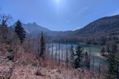 IMG_20260408_120613