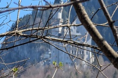 IMG_20260408_121356