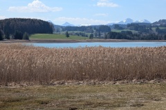 IMG_20260408_140529