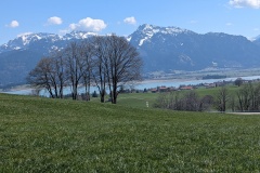IMG_20260408_144854