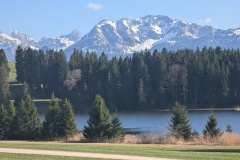 IMG_20260408_171240