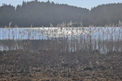 IMG_20260408_171630