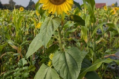 IMG_20261004_103913