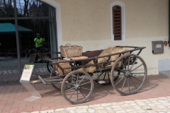 IMG_20260405_110854