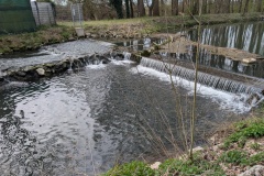 IMG_20260405_111658