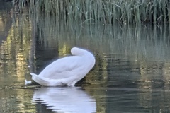 IMG_20260920_101650