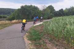 IMG-20260731-WA0013