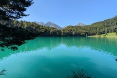 IMG_20260814_102836