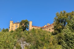 IMG_20260814_111124_1