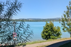 IMG_20260814_121648_1