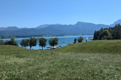 IMG_20260814_133908