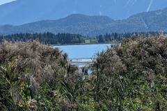 IMG_20260814_141359