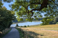 IMG_20260814_160856