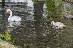IMG_20260720_103914