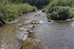 IMG_20260720_120213