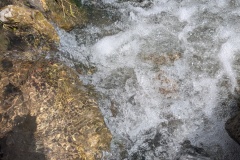 IMG_20260720_120335