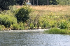 IMG_20260720_133814