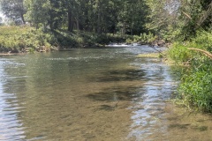 IMG_20260720_140637