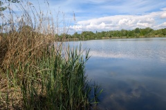 IMG_20260517_102535